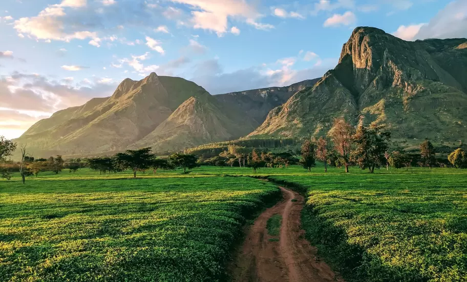 A dirt track runs through green fields toward rugged mountain peaks under a cloudy sky in Malawi