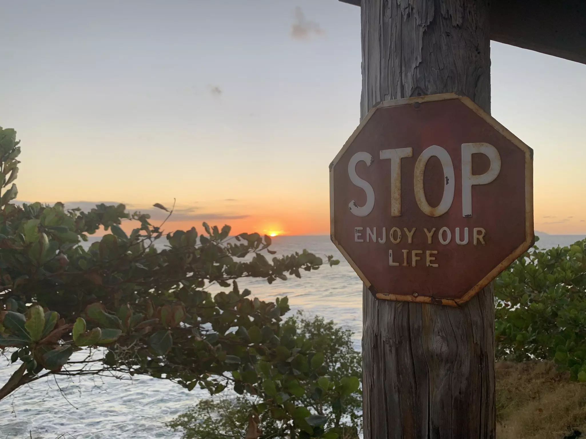 A red stop sign in front of a sunset over the water, with the words "Enjoy your life" written under the word "stop"