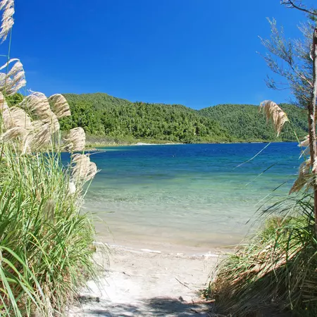 Clear blue waters are framed by a white sand beach and green forest.