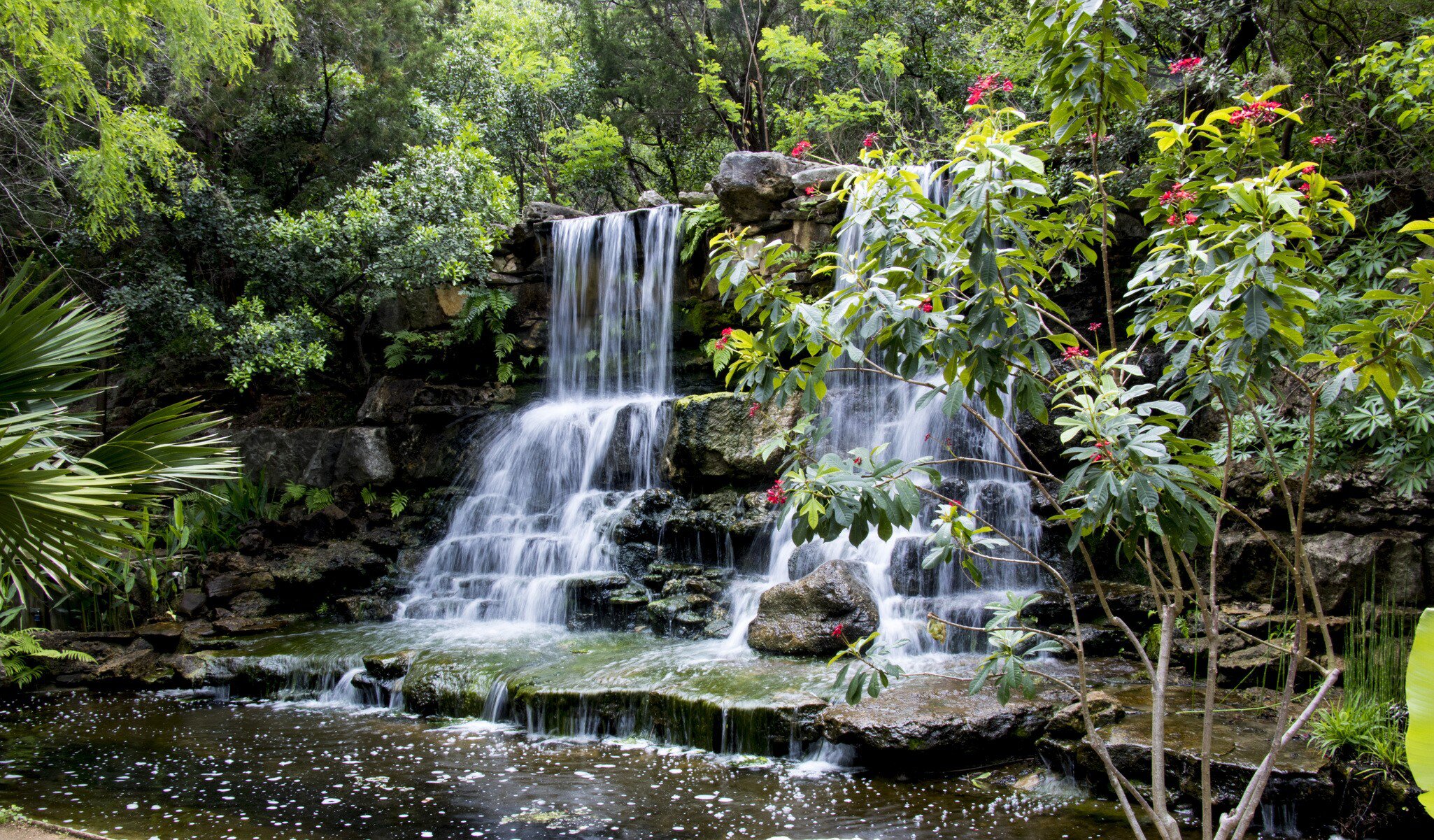 View of a waterfall at the Zilker Botanical Gardens in Austin, Texas.