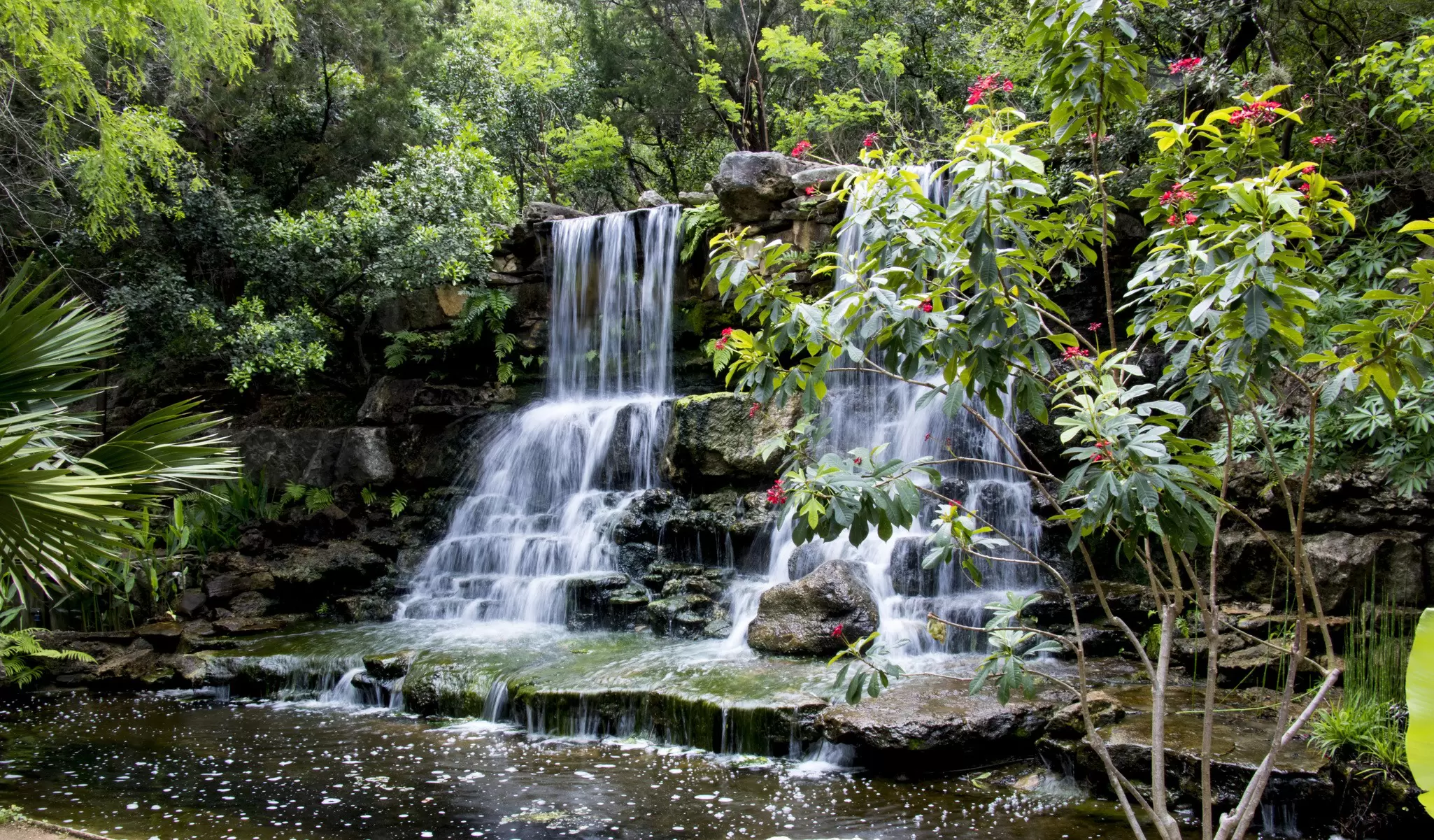 A waterfall at the Zilker Park Botanical Gardens in Austin, Texas.