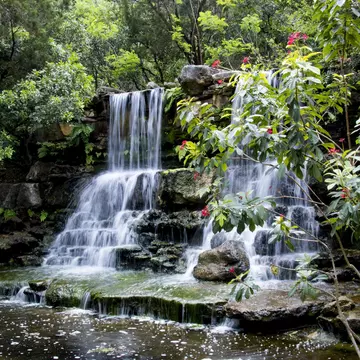 View of a waterfall at the Zilker Botanical Gardens in Austin, Texas.