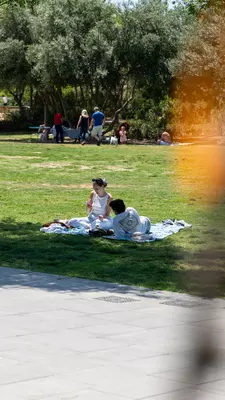 Peaceful water features and modern installations are ideal places to gather after sightseeing.