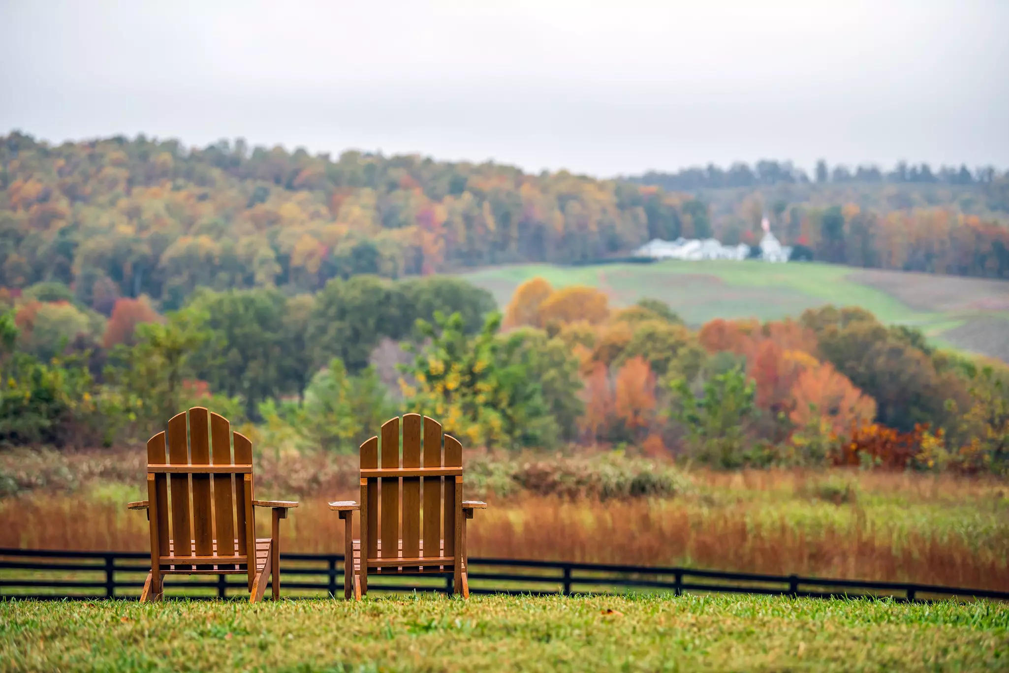 Two wooden chairs on a hill look over fall foliage with the white buildings of a winery in the distance.