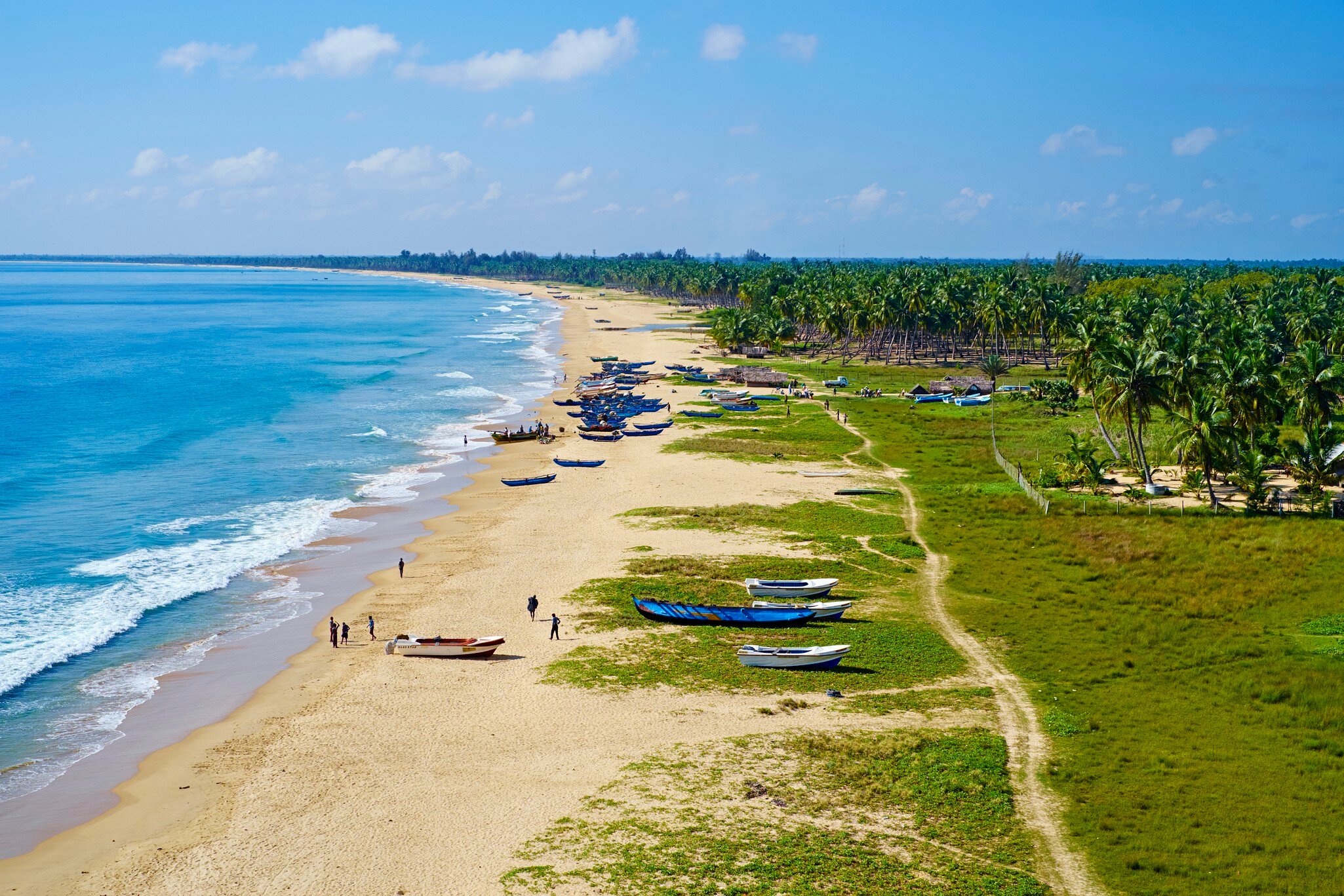 Fishing boats rest on sand and grass by a beach in Sri Lanka. People stand near the boats on the sand, and groves of palm trees are just inland.