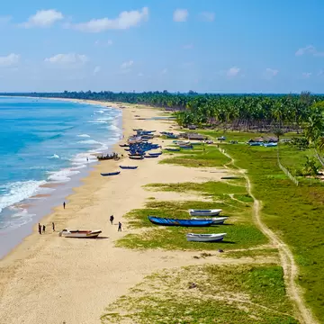 Fishing boats rest on sand and grass by a beach in Sri Lanka. People stand near the boats on the sand, and groves of palm trees are just inland.