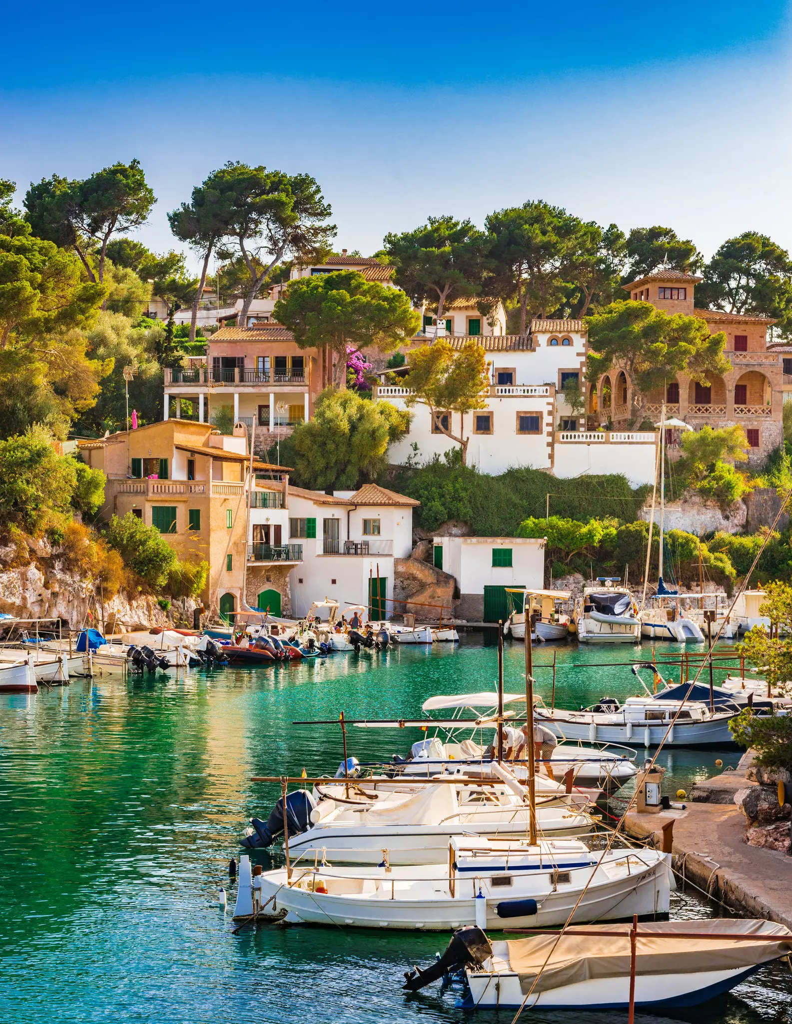 A town by a harbor with boats.
