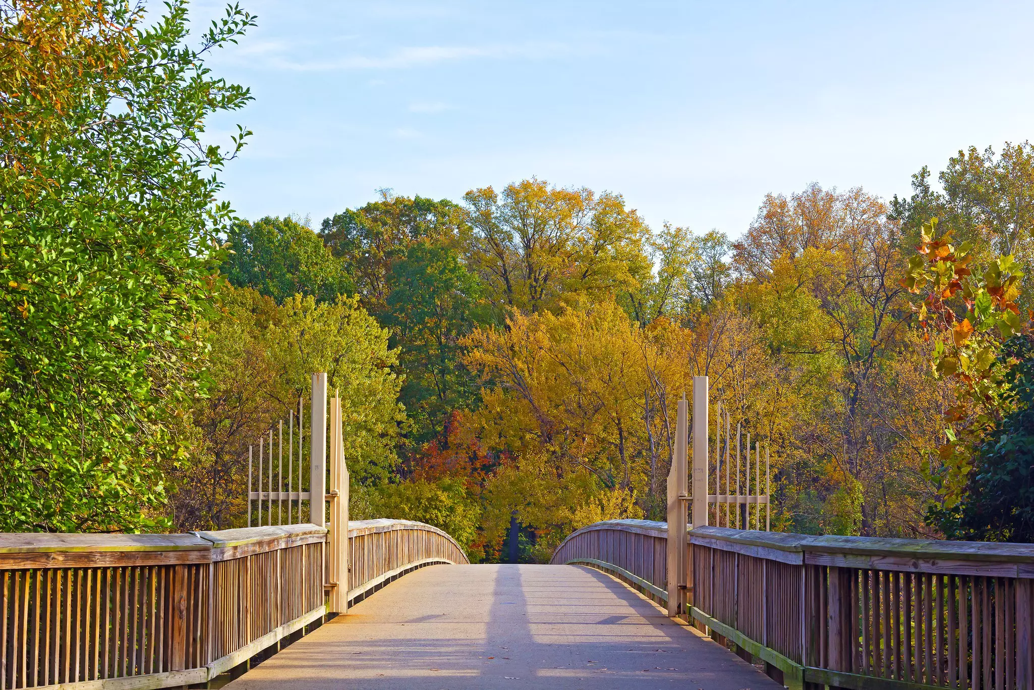 Escape the political whirlwind on a walk through Theodore Roosevelt Island Park © Getty Images / iStockphoto
