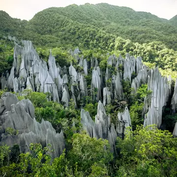 Jagged grey limestone spires jutting out of thick green rainforest on a hillside, with forested ridges behind.
