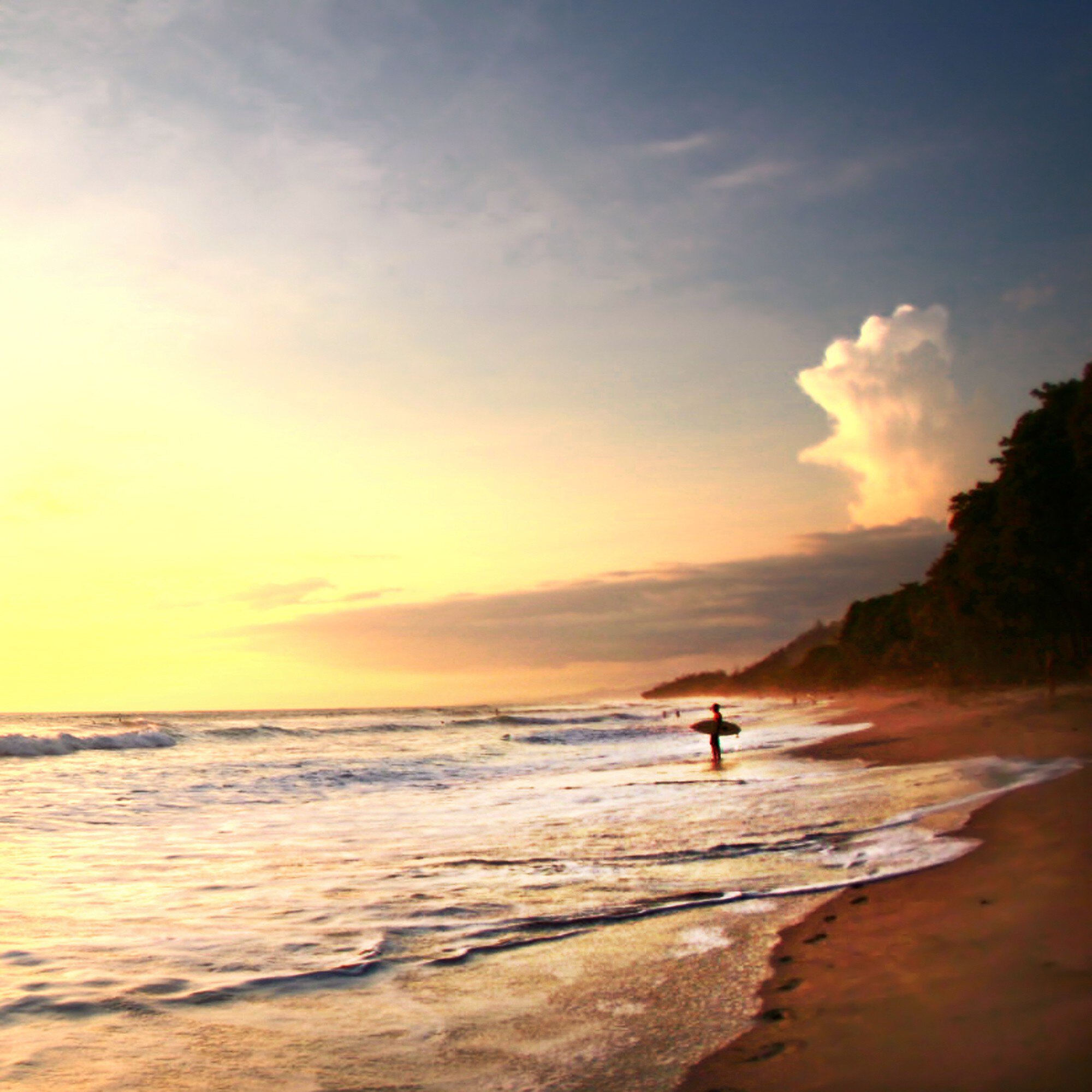 Surfer stands in ocean watching sunset on beach