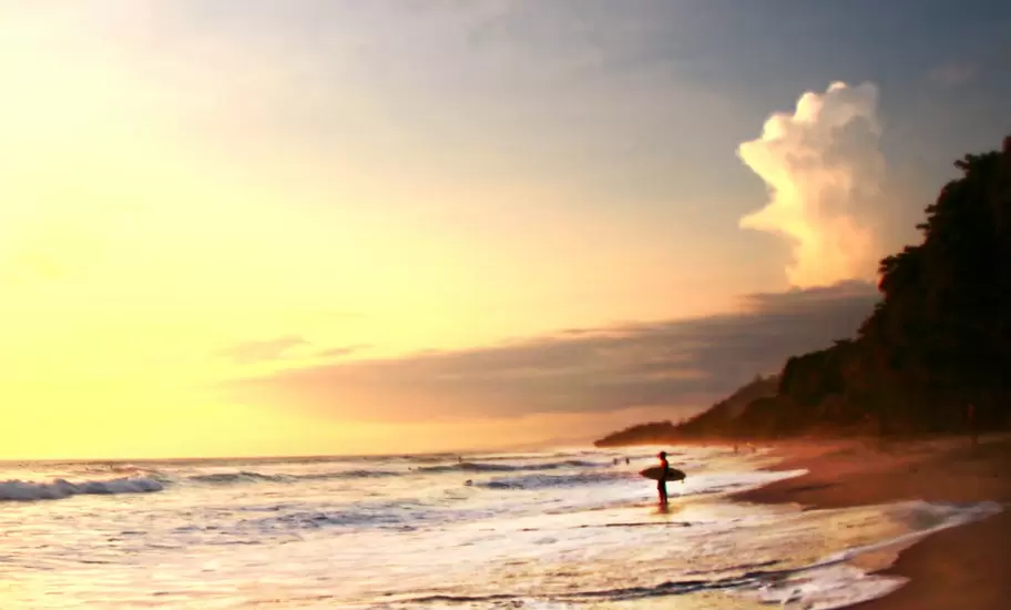 Surfer stands in ocean watching sunset on beach