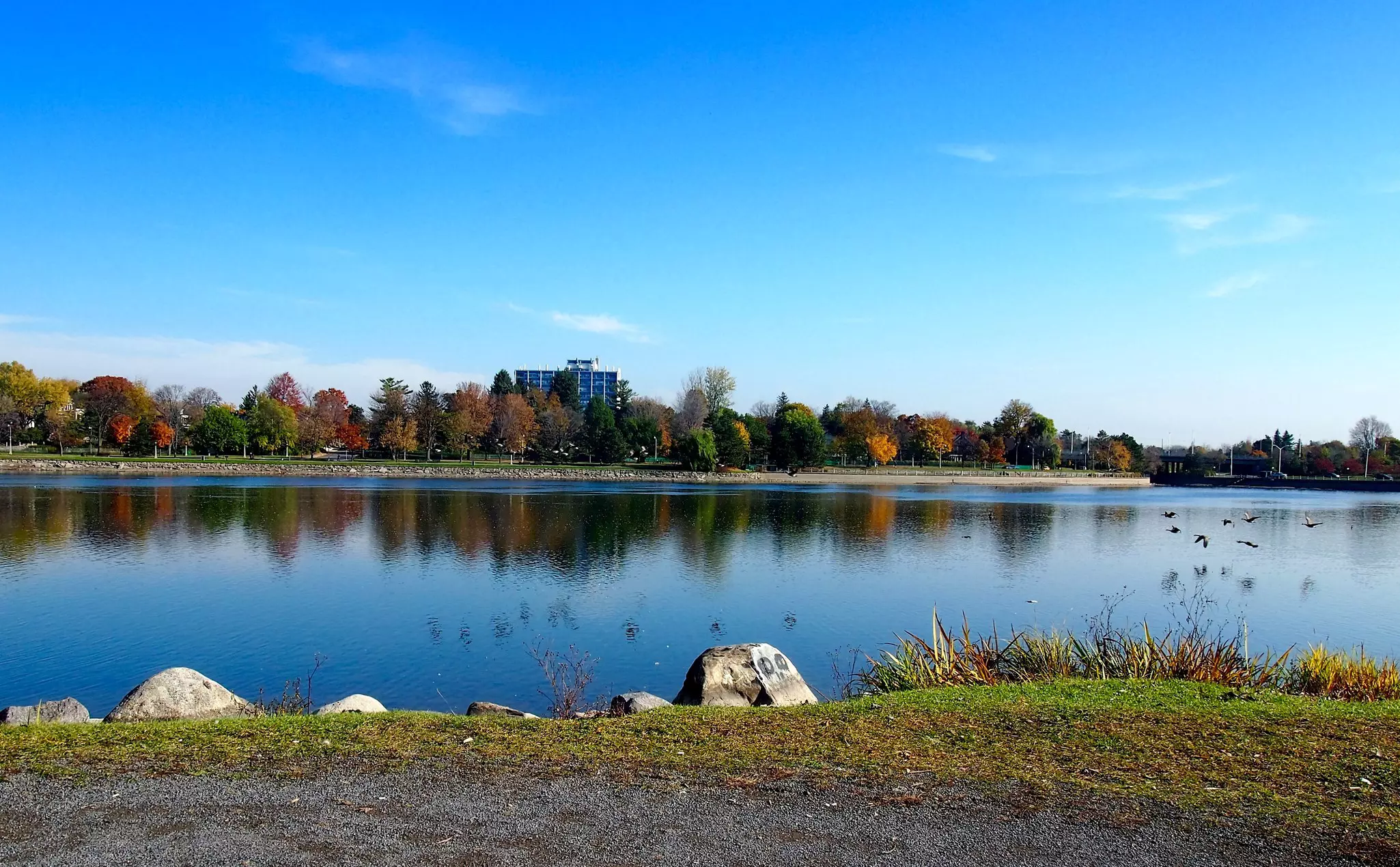 Rideau Canal with fall foliage and a building in the background, and some rocks in the foreground