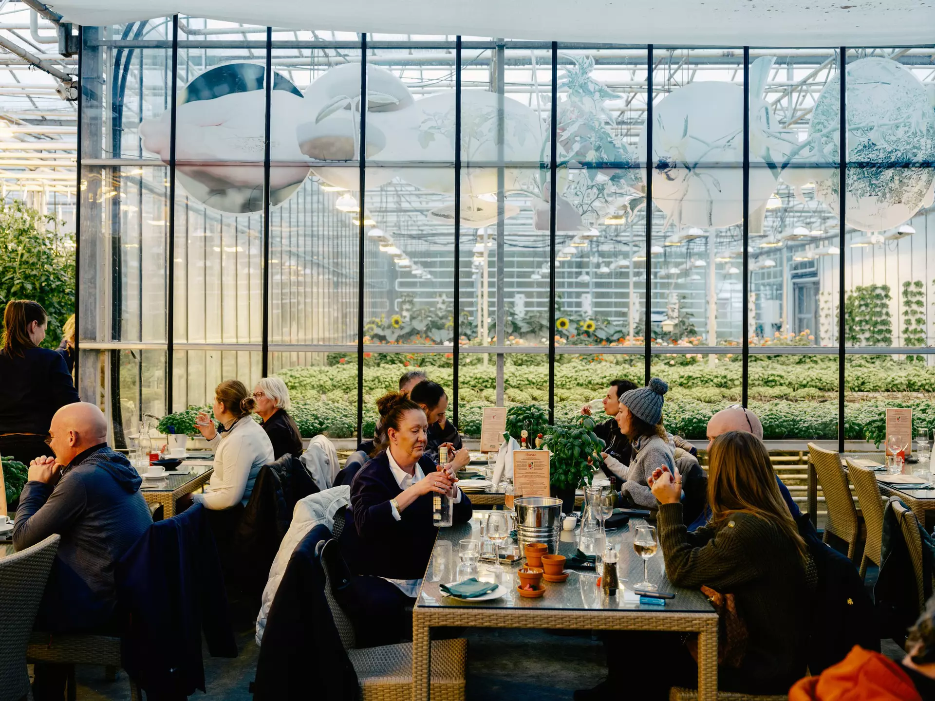 Friðheimar in Iceland. Daniel Dorsa for Lonely Planet