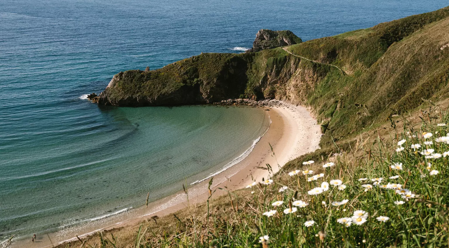 A beach backed by scrubland and wildflowers viewed from a clifftop