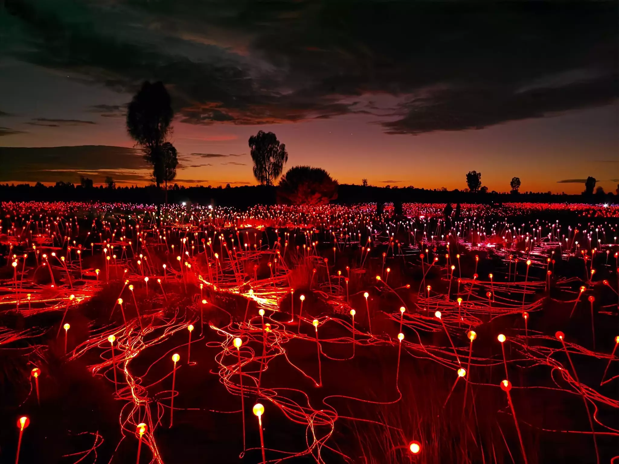 Bruce Munro’s “Field of Light” opened for a temporary engagement at Uluru in 2016 – and has been so popular is has remained installed ever since © James D. Morgan/Getty Images for Huawei