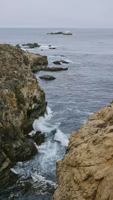 Garrapata State Park, Big Sur, California. July 2025.