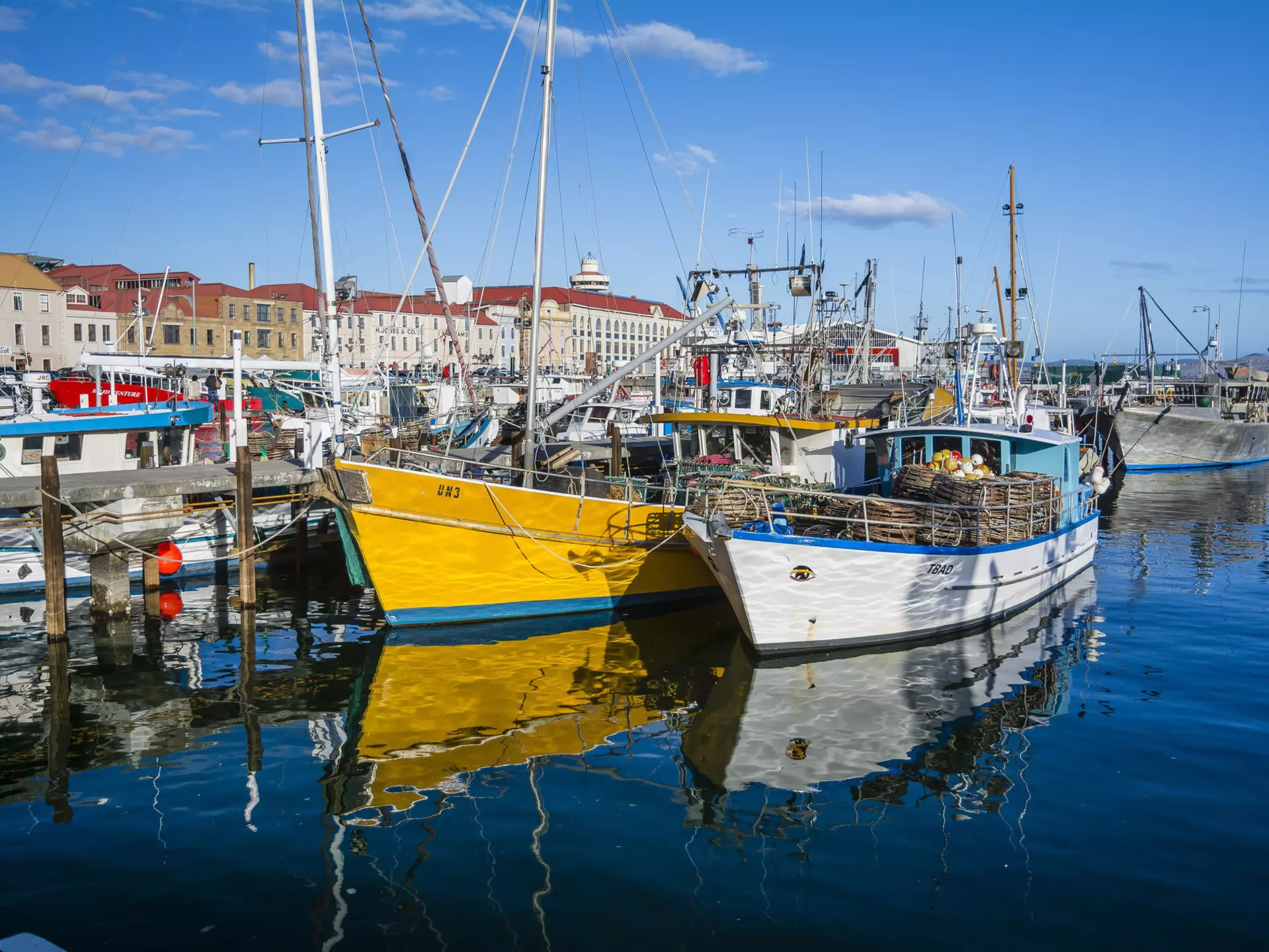 Stroll Hobart's tranquil harborfront past sailing boats and ocean trawlers © Cyrus_2000 / Shutterstock