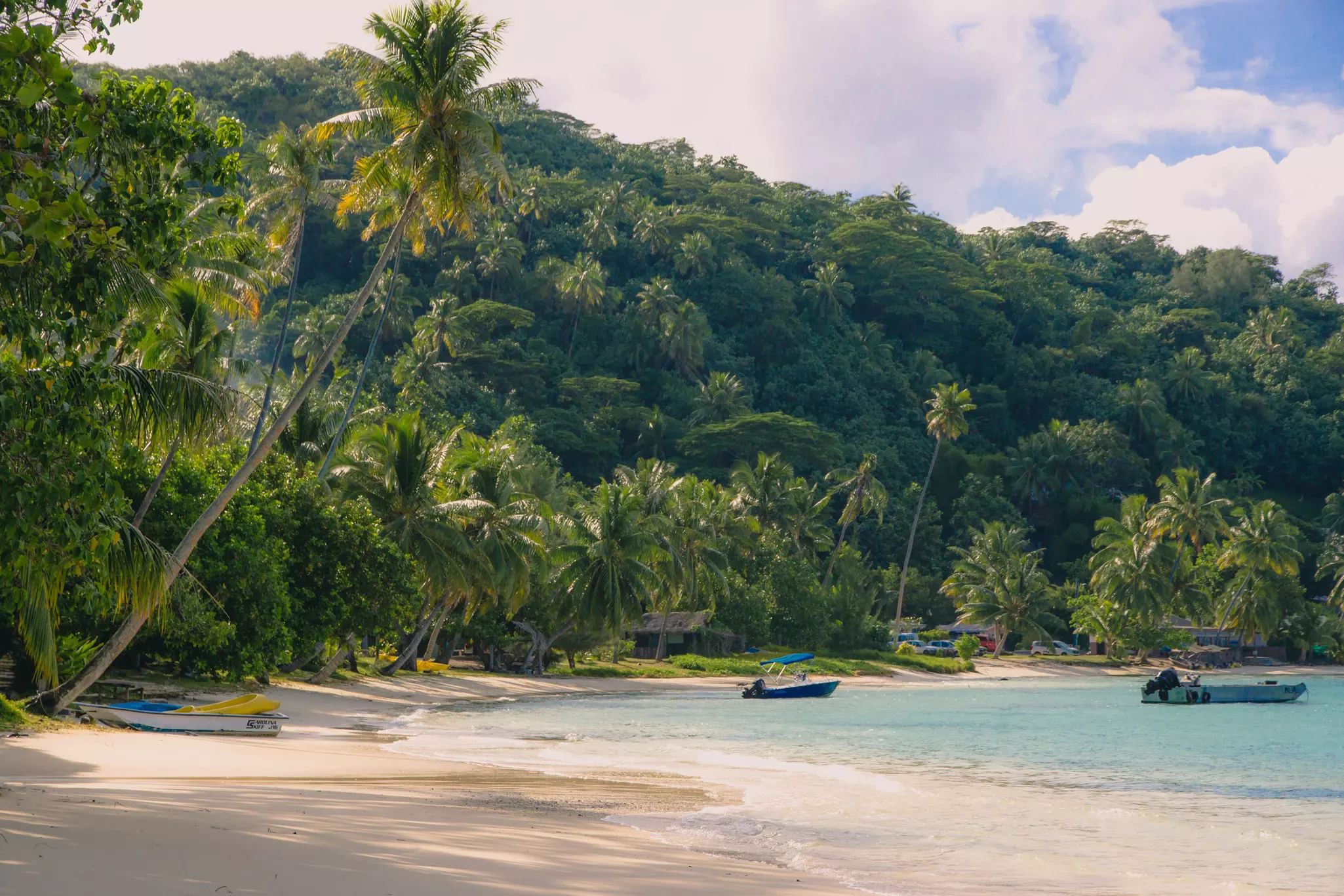 A view of a boats and palm trees at Matira Beach on Bora Bora.