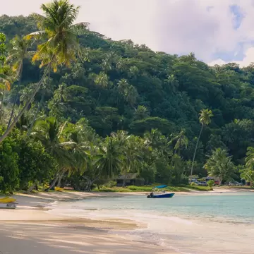 A view of a boats and palm trees at Matira Beach on Bora Bora.