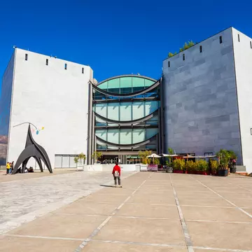 A solo figure stands looking towards a large modern building that houses Nice's Museum of Modern and Contemporary Art