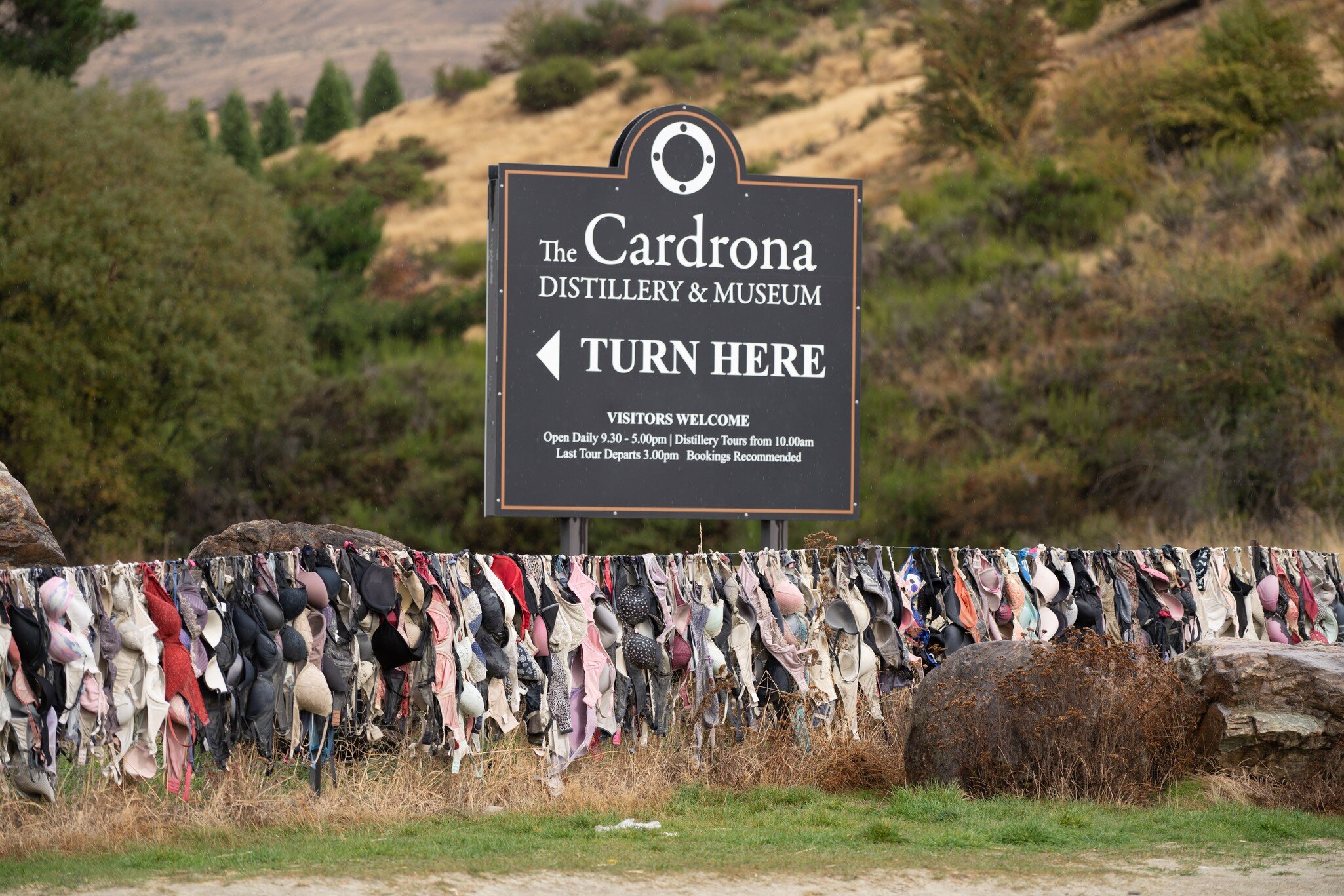 The Cardrona Distillery and Museum Sign Board with hundreds of Bras  hanging on the fence known as Bradrona, Bra Fence with hill background.; Shutterstock ID 1391917730; purchase_order: 65050; job: POIs; client: Lonely Planet; other: digital download