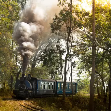 A blue steam locomotive pulling blue carriages along a curving narrow-gauge track through sunlit trees, trailing grey smoke.
