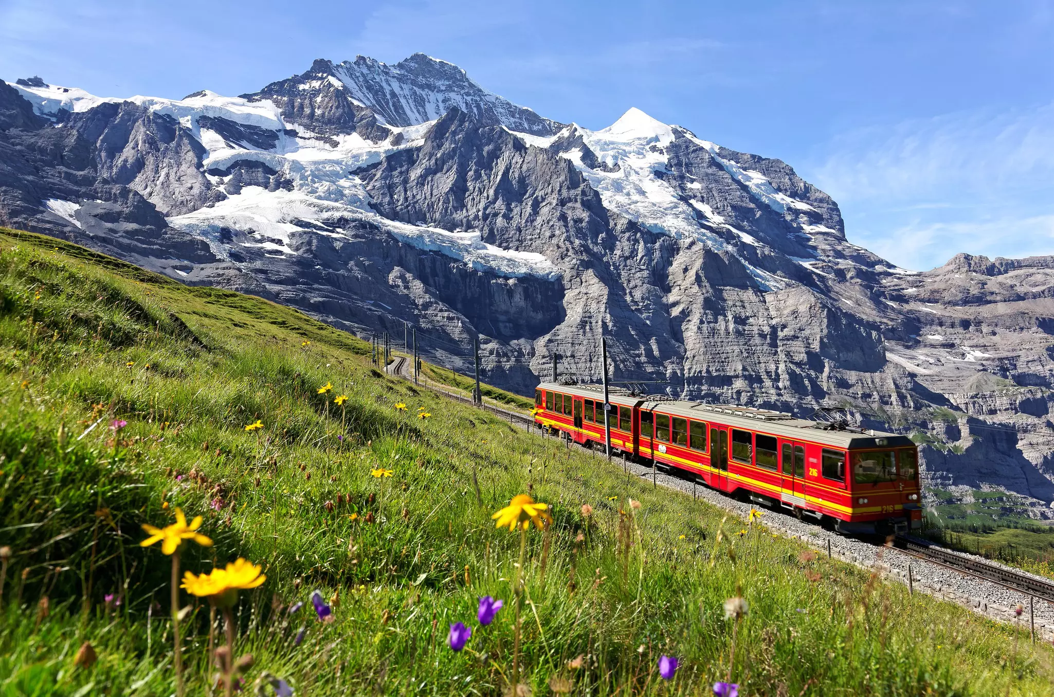 A small red train on a narrow-gage railway through mountains and meadows blooming with spring flowers.
