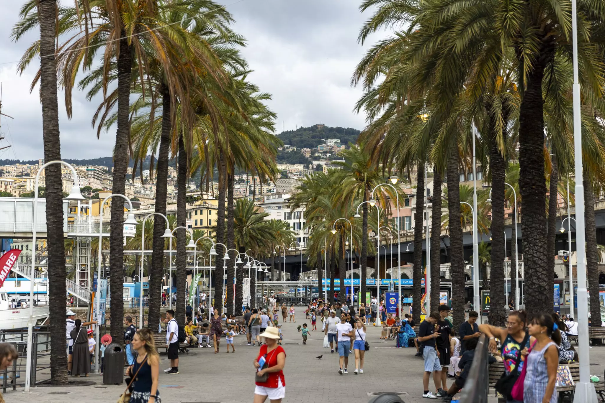 People walk along the waterfront of a busy port lined with street lights and palm trees.