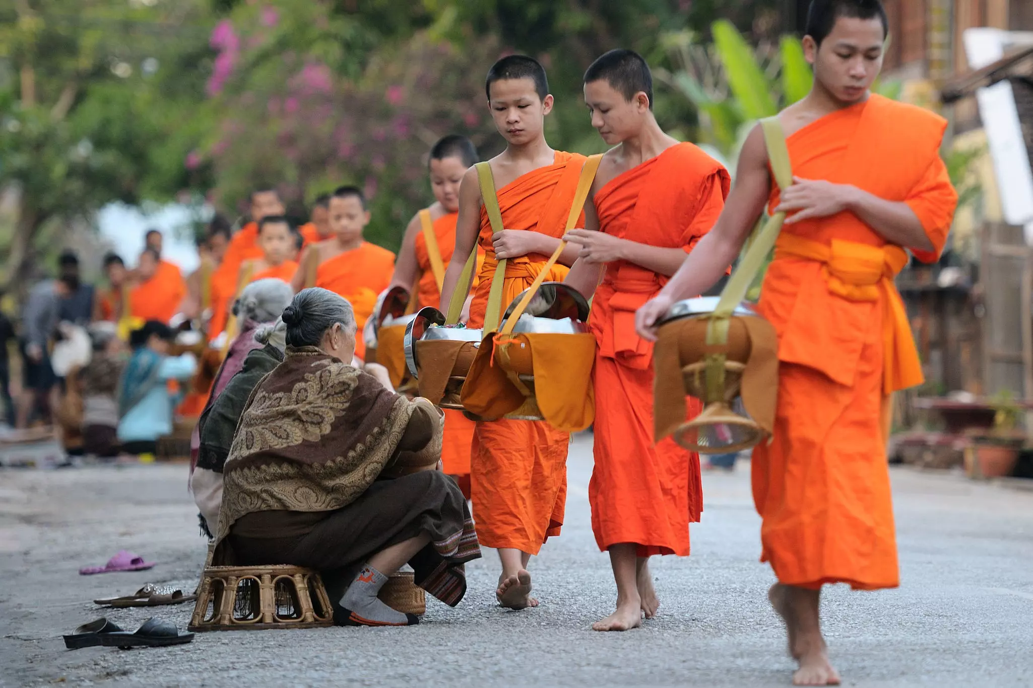 Local people offer food to Buddhist monks in the morning on the streets of Luang Prabang, Laos.