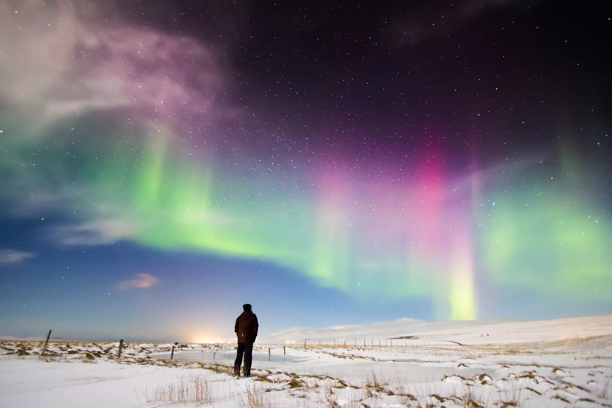 Man looking at the bright pink, green and yellow northern lights in the sky in Iceland