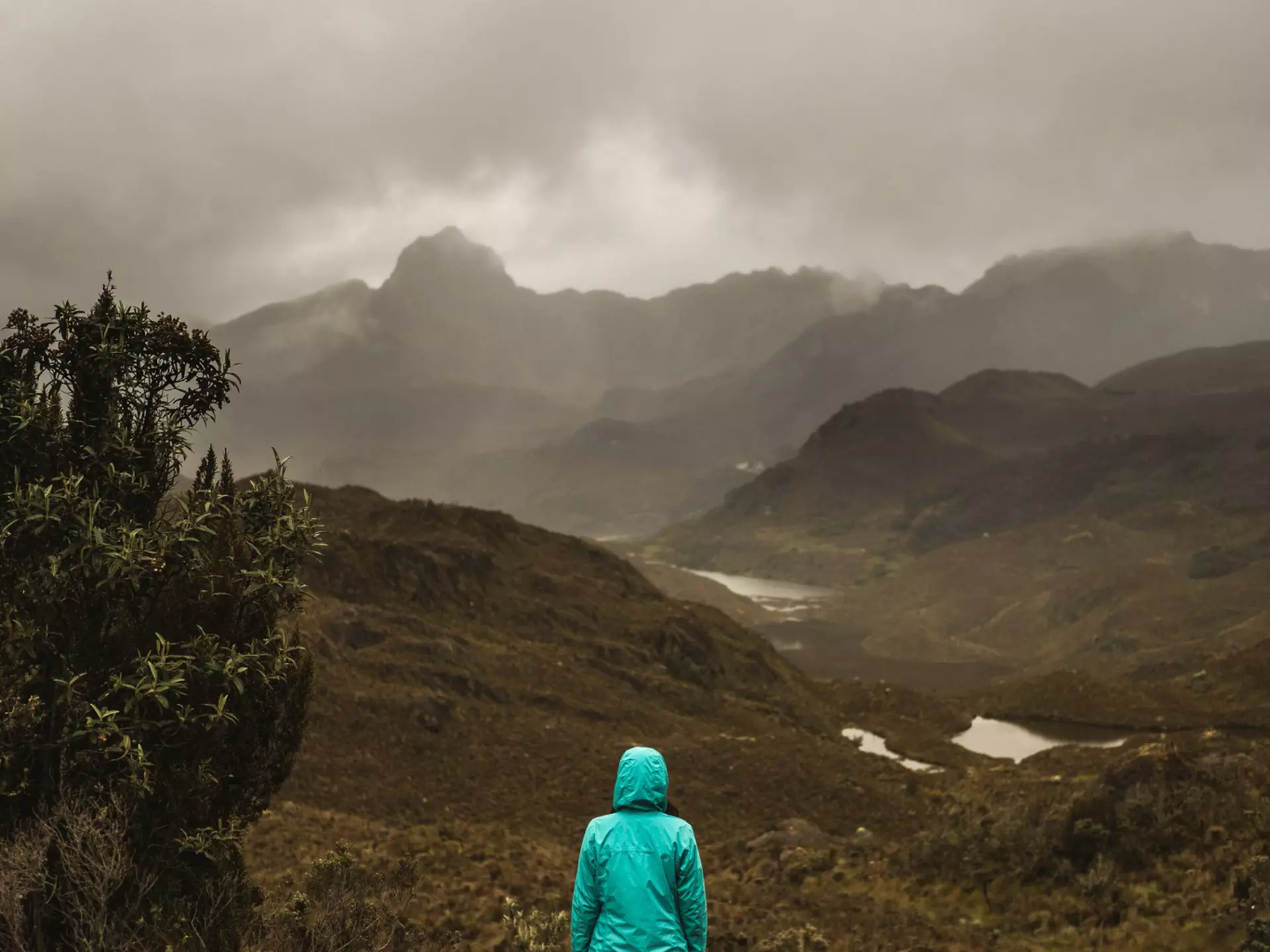 Weather the coming storms with grace © Luis Herrera / Stocksy