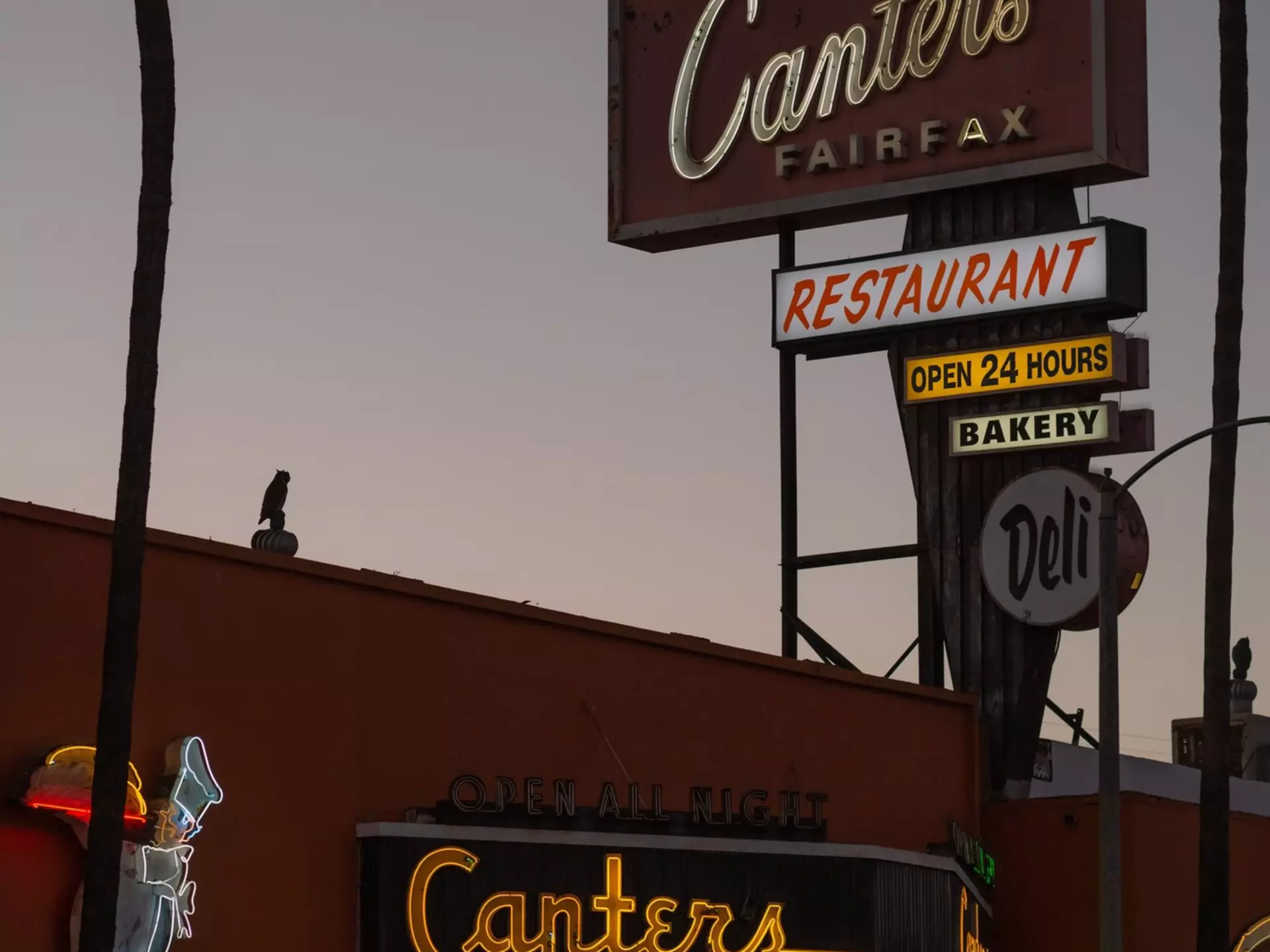 Screen Shot 2020-03-13 at 6.50.33 PM.png