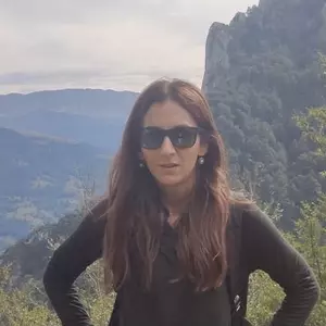 Brana Vladisavljevic