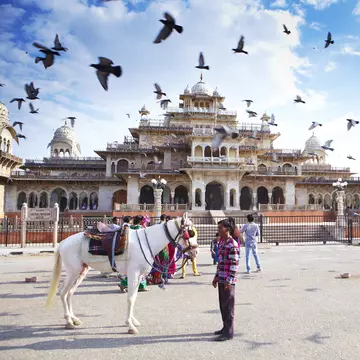 View of a horse and a man outside the Central Museum in Jaipur, India.
