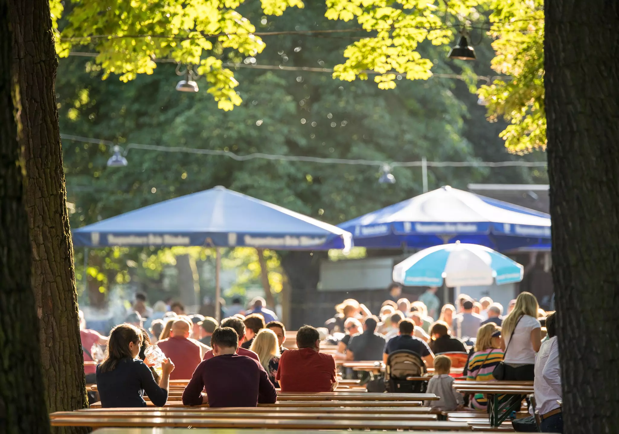 People are seen from behind sitting at communal tables at a beer garden in a park. Green leaves and blue umbrellas cover the tables.