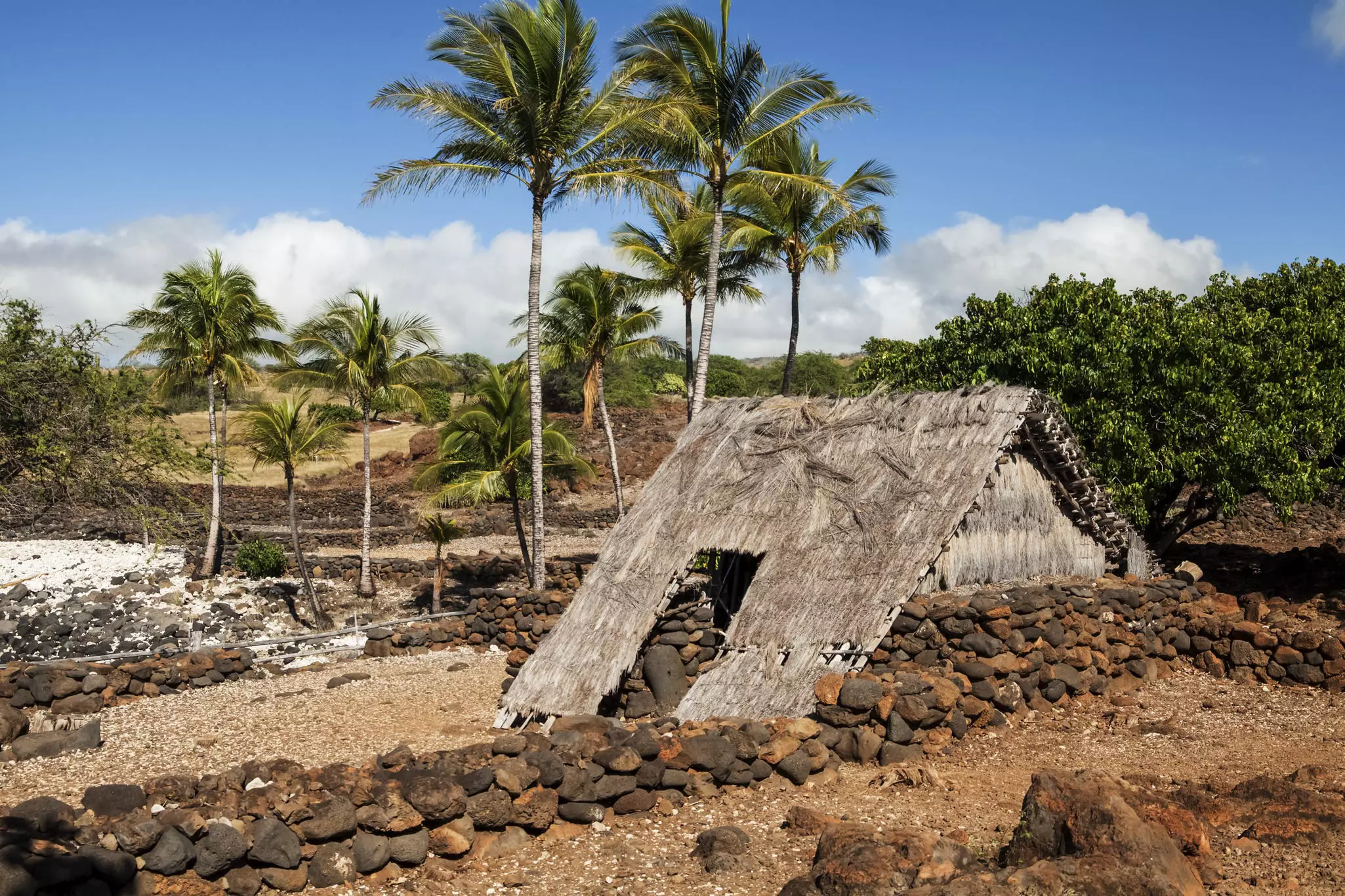 Hawaiian Hale (hut) with low, brown stone wall and a few palm trees in the distance on a sunny day.