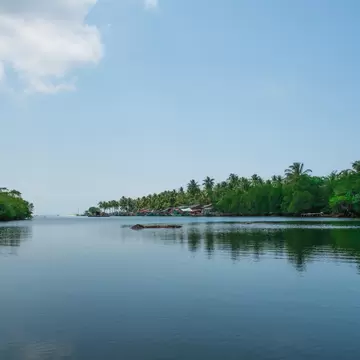 View across the Rach Tram River in Phu Quoc National Park, Vietnam.
