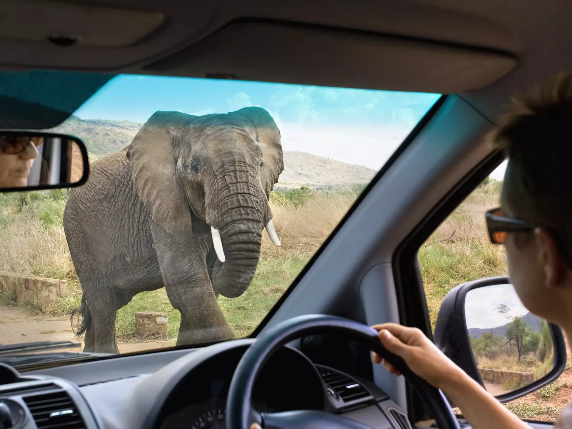 Road obstacles take on a new meaning when behind the wheel on a self-drive safari. Frans Lemmens / Getty Images
