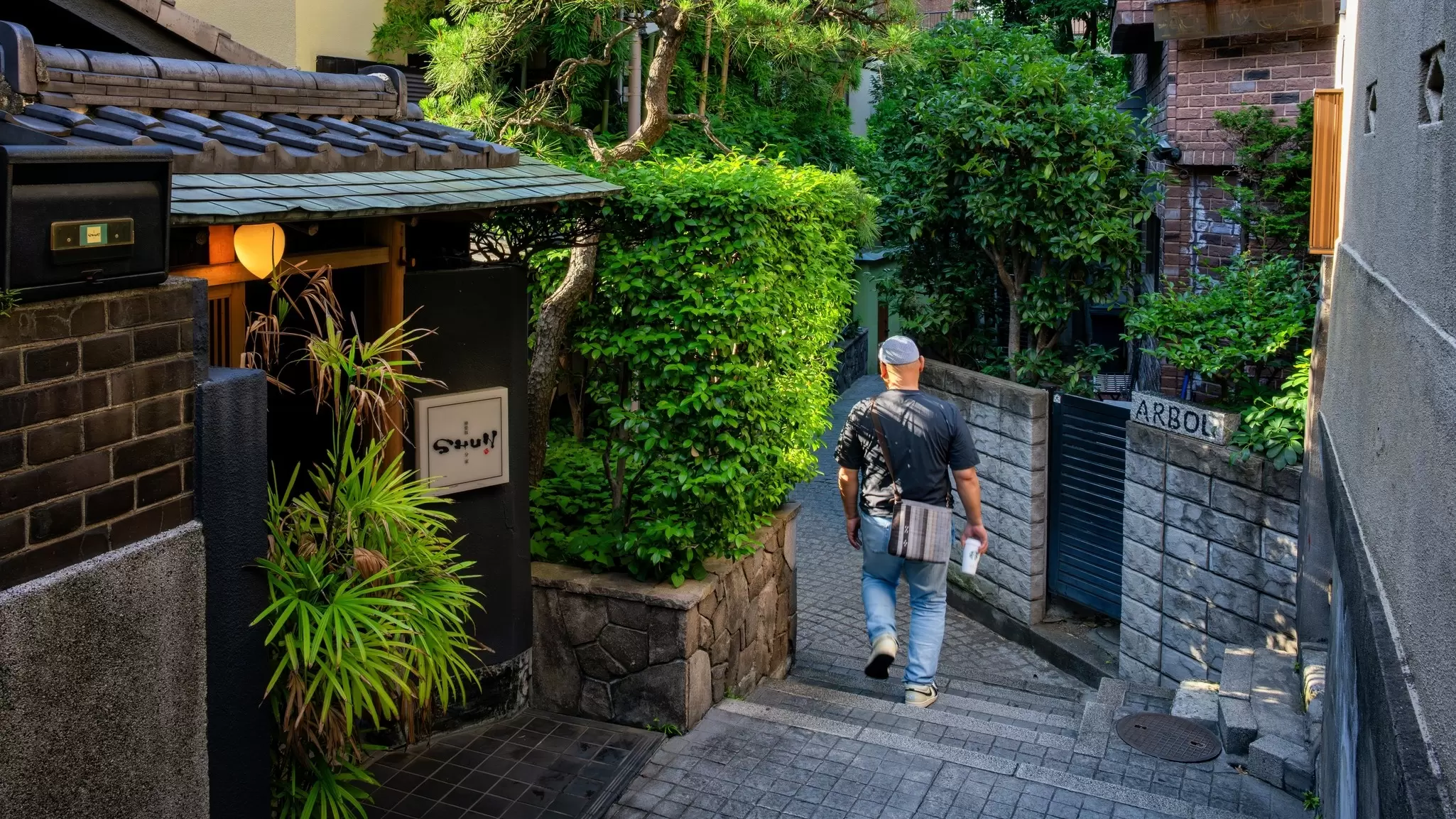 A man is seen from behind descending steps in a narrow alley, Hyogo Yokocho Alley, Kagurazaka, Tokyo