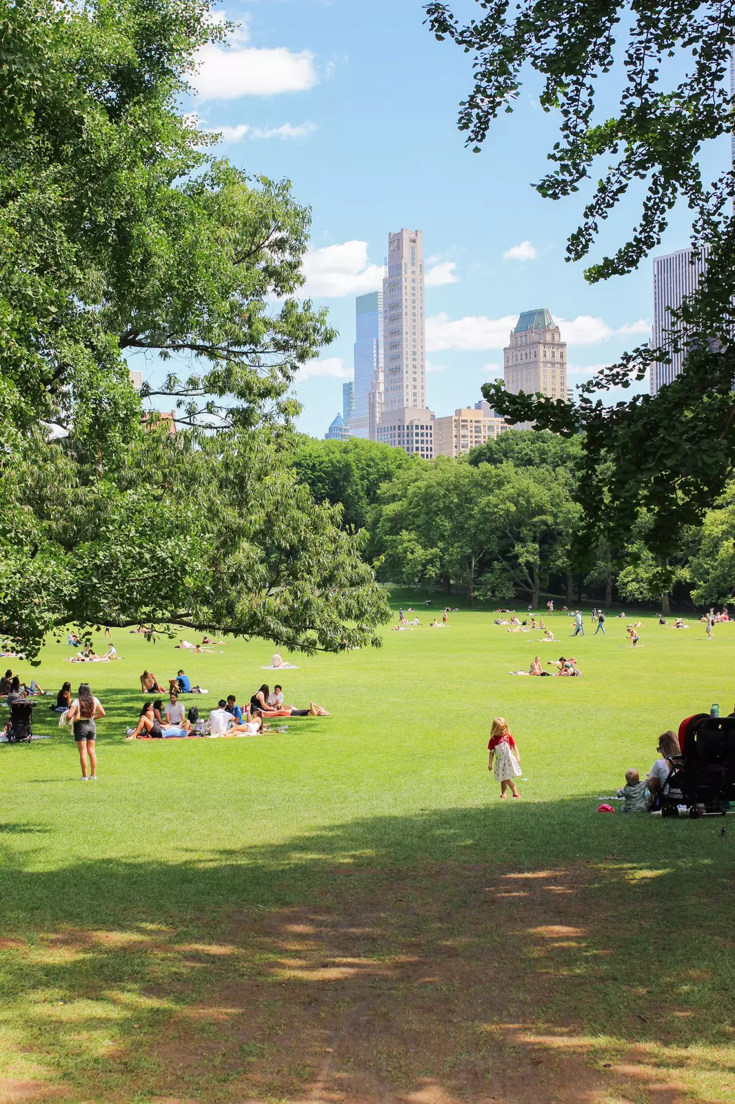 People laying and playing in Sheep's Meadow in Central Park, NYC