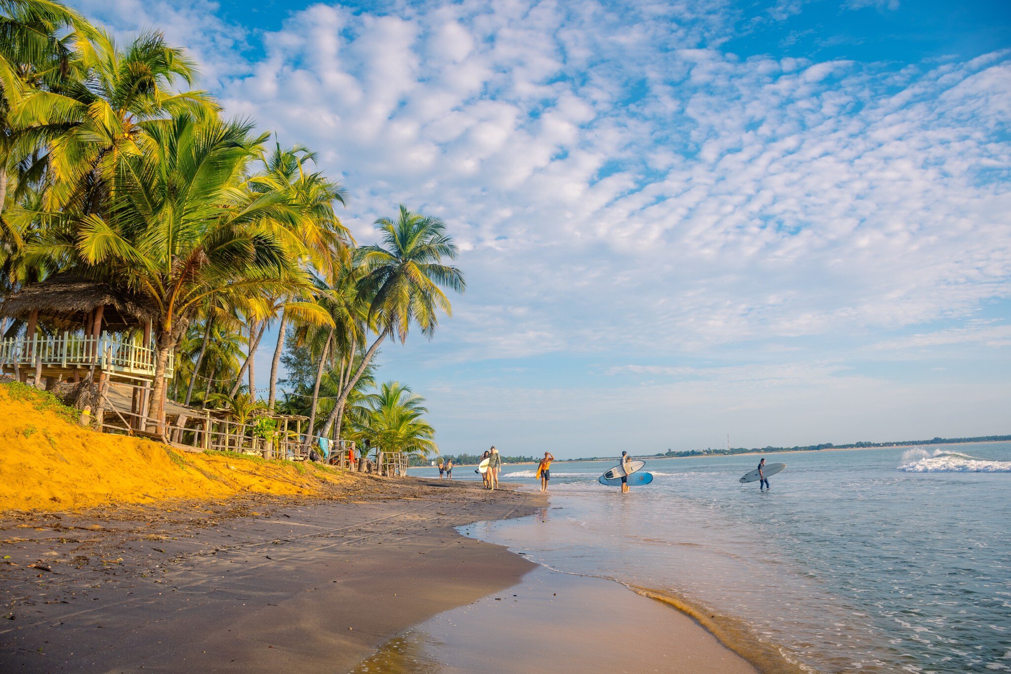 Palms leaning over a sandy beach with surfers in the water beyond.