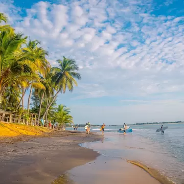Palms leaning over a sandy beach with surfers in the water beyond.