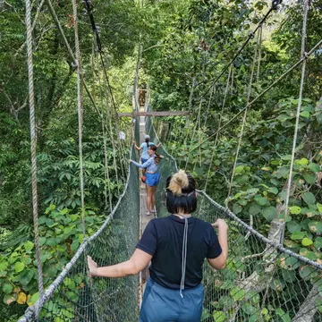 The lush and wonderfully preserved rainforest of Taman Negara is only 3 hours from Malaysia’s capital, Kuala Lumpur. Jasper Neupane/Shutterstock