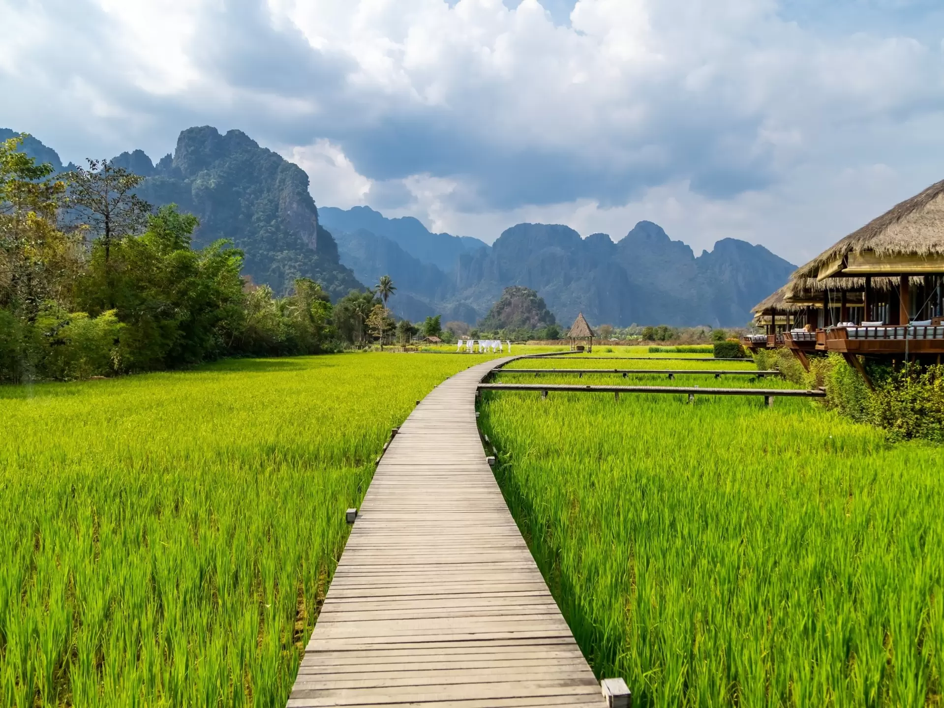 wooden path with green rice field in Vang Vieng, Laos.