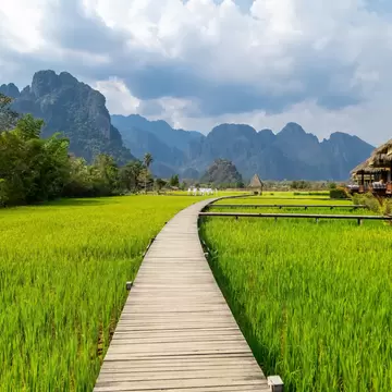 wooden path with green rice field in Vang Vieng, Laos.