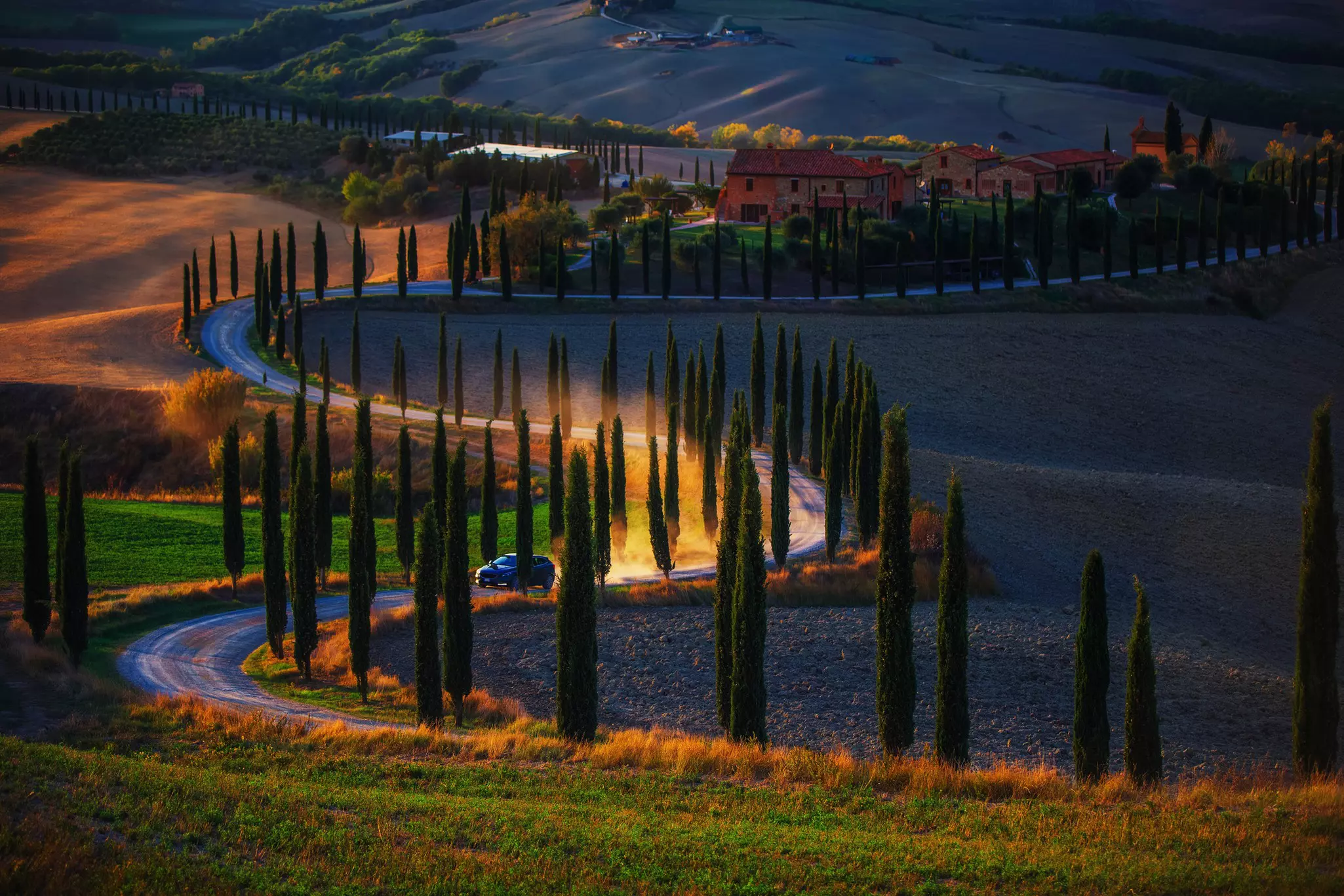 A car drives between the cypress trees of rural Tuscany during sunset