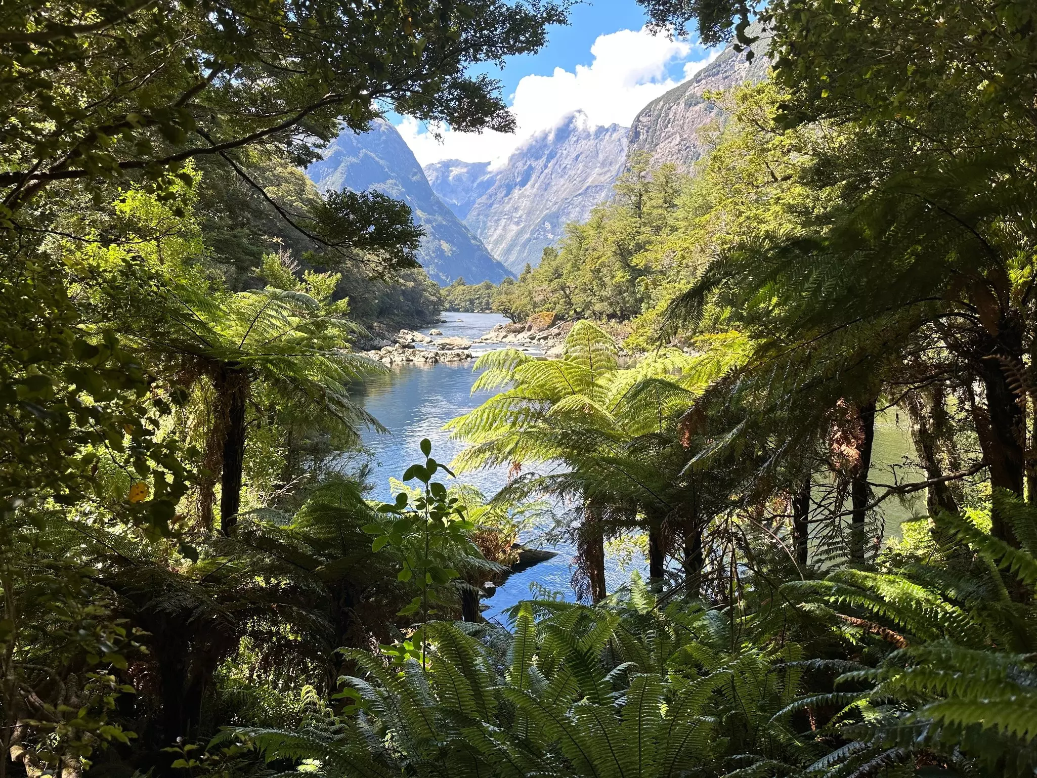 A view of water and mountains through trees