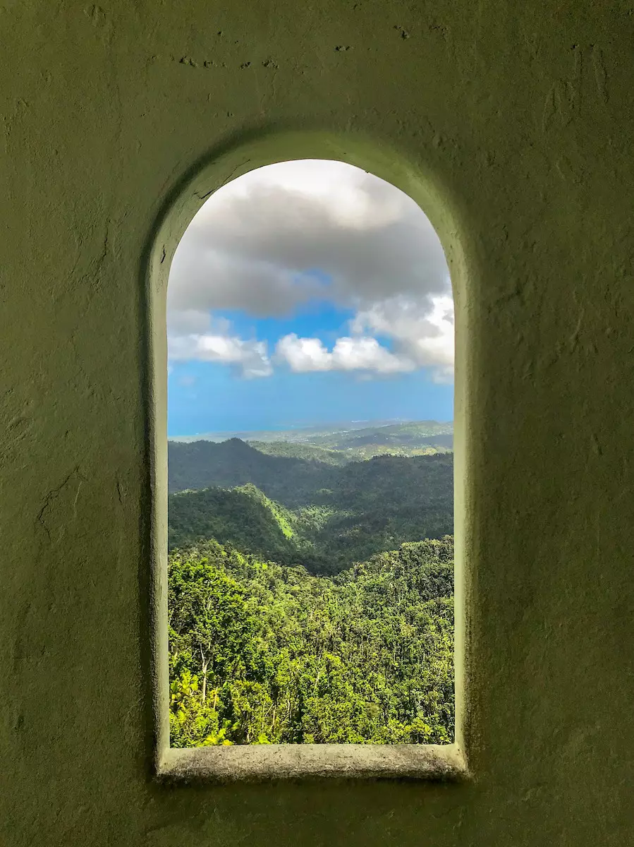 El Yunque National Forest is home to a diverse range of flora, fauna, and waterfalls © Courtesy of Discover Puerto Rico