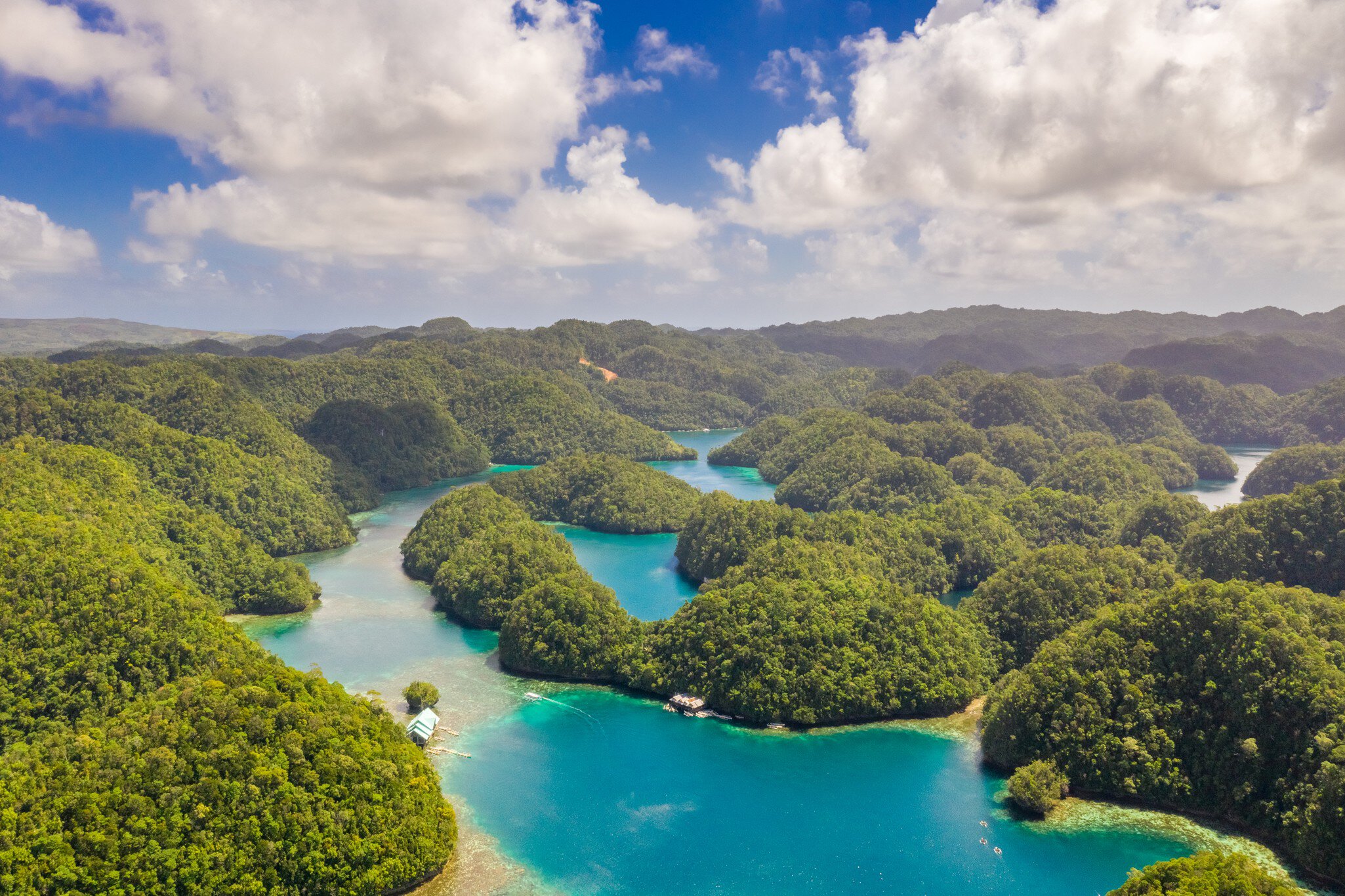 Mangroves forest cove a Sugba lagoon in Siargao, Philippines. Aerial shot taken with drone