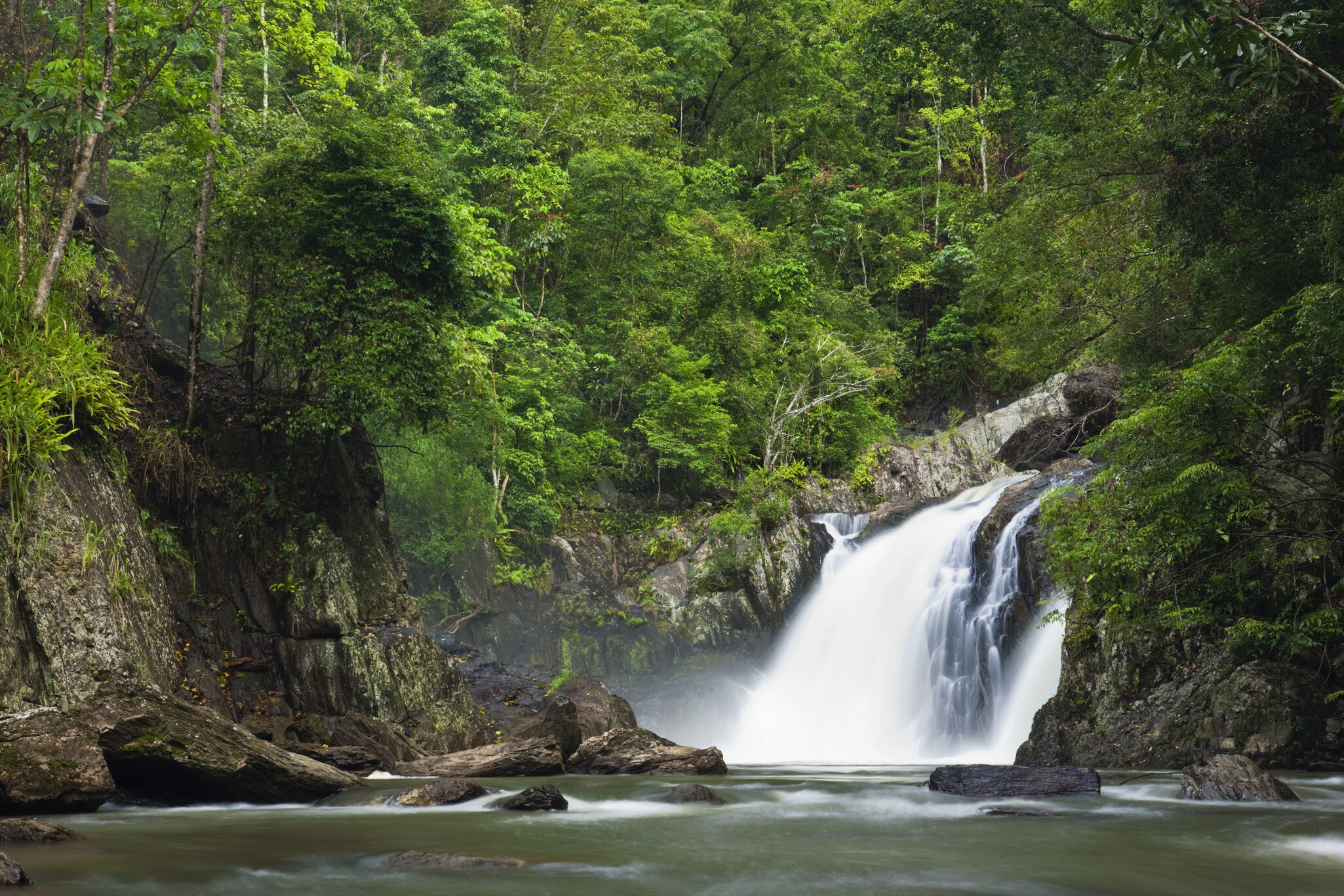 Rainforest waterfall